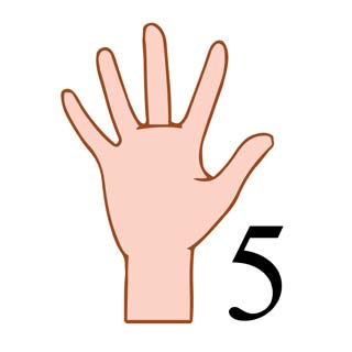 中国で数字の5を表現する指の形