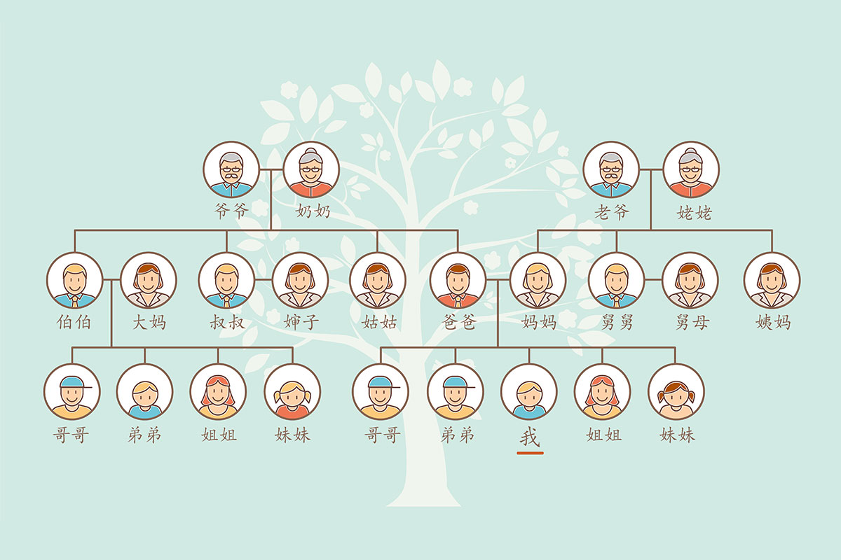 中国語の家族の呼び方-家系図
