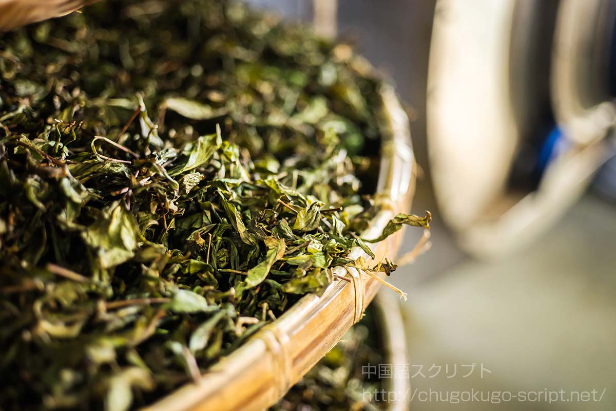 青茶の製造